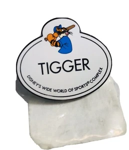 Disney Cast Member Name Tag Tigger Pin - Picture 1 of 4