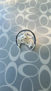 UNSIGNED RHINESTONE HORSE HEAD BROOCH PIN HORSESHOE EQUESTRIAN - Picture 1 of 2