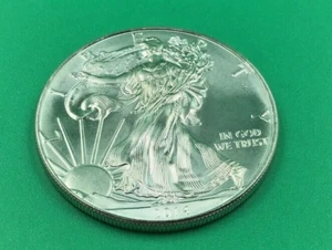 Lingotes Silver American Eagle 2014 1 OZ tonificado - Imagen 1 de 2