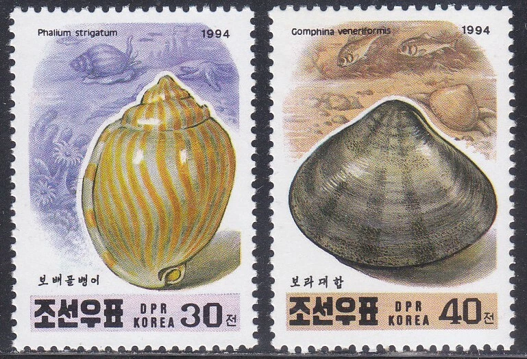 Corea - 1994 - MNH - (3598-3699) Sea Shells Foto 1 de 1