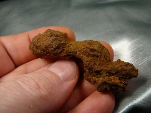 pp471-5) 2" Genuine Fossil TURTLE POOP Coprolite OR DUNG doo #2 skat WEIRD GIFT - Picture 1 of 1