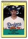 1991 Vero Beach Dodgers ProCards #766 Ray Calhoun