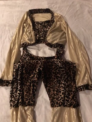 Girls Costume Diva Rock star Cheetah Dress Up Halloween - Изображение 1 из 4