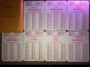 CLEVELAND INDIANS 1975 APBA REPRINT 25 Card Team Set- MINT- ECKERSLEY- POWELL - Picture 1 of 1