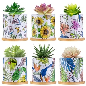 COLOAPT Succulent Pots for Plants, 3.1 Inch Ceramic Planter Pot with Drainage... - Picture 1 of 6