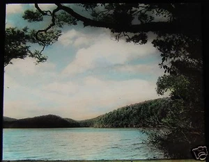 Glass Magic lantern slide LAKE WAIKARE NORTH ISLAND C1920 NEW ZEALAND - Picture 1 of 2