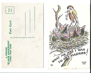 MOTHER ROBIN-WHAT AN ASS I WAS TO GET MARRIED! - Picture 1 of 1