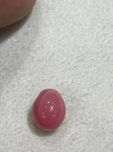NATURAL conch pearl MOST BEAUTIFUL 8-12MM SUPER SIZE ABOVE 6 CT AVAILABLE NOW - Bild 1 von 2