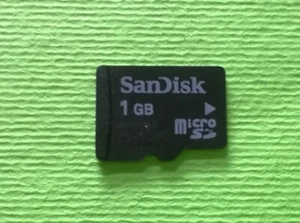 Memory card micro sd SanDisk 1 GB usata e funzionante - Foto 1 di 1