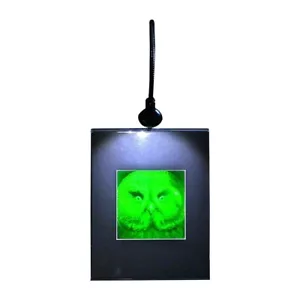 Imagen de holograma 3D de aves de presa (soporte de escritorio iluminado), fotopolímero coleccionable - Imagen 1 de 7