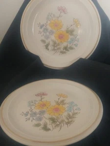 Flower Arrangements By Mikasa Fresh As Spring / 2 Salad Plates - Picture 1 of 3