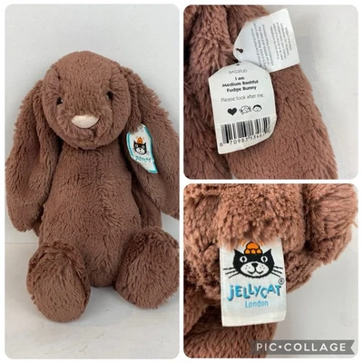 Jellycat Bashful Fudge Bunny Medium Brown  Retired Rare - Image 1 of 4