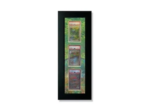 Impresión artística extendida Ridanco 3 PSA 151 Grass Starter Evolutions marco de tarjeta graduado - Imagen 1 de 6