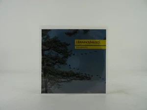 HERMANOS INGLESOS WANDERLAND (B9) 3 Track Promotional CD Single plus Picture Sle - Picture 1 of 7