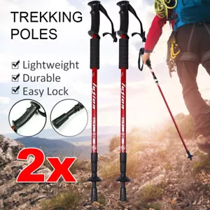 ANTI-SHOCK WALKING TREKKING POLES HIKING STICKS ADJUSTABLE 2x - Picture 1 of 9