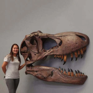 Hanging T-Rex Skull Wall Decor Life Size Resin Statue Jurassic Theme Display - Picture 1 of 6