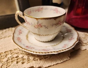 Antique Higgins & Seiter Elite Limoges Demitasse Cup & Saucer - Picture 1 of 13