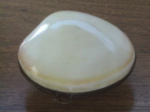 Vintage Ivory Sea Shell On A Brass Bezel With Clasp Pillbox 3" Diameter - Picture 1 of 3