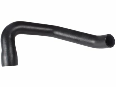 Manguera de radiador inferior para Jeep Wrangler 2000-2006 13444HS 2001 2002 2003 2004 2005 Foto 1 de 2