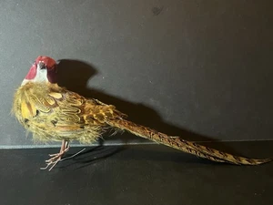 Dekorativer 14 Zoll Vogel Goldener Fasan Volkskunst - Bild 1 von 5