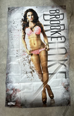 Brooke Tessmacher TNA Impact Wrestling Flag Banner Knockouts Division Cover