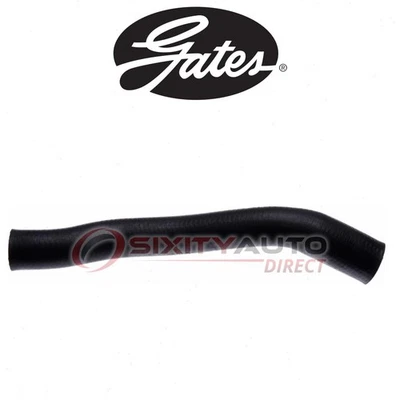 Gates Upper Radiator Coolant Hose for 1996-2000 Dodge Caravan 3.3L 3.8L V6 - ky Foto 1 de 4