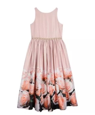 Maxi Vestido Belle by Badgley Mischka Niña Rosa Satinado Estampado Borde Talla 12 Foto 1 de 4