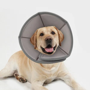 Small Medium Large Dog Cone Recovery Collar After Surgery Pet Protective Collar - Picture 1 of 9