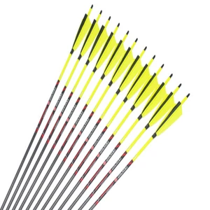 12pcs Carbon Arrows Spine250 4"Turkey Feather Traditional Bow Archery ID6.2mm - Picture 1 of 5