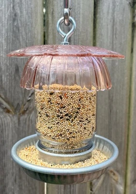 Alimentador de aves de vidrio vintage para pinzones y otras aves pequeñas Mason Jar Foto 1 de 4