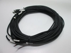 Menge 4 Pico M8 3 Pin Buchse Kabel 3/24 AWG Polyurethan Mantel 15' lang - Bild 1 von 2