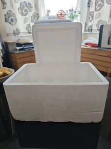 Thermo Insulation Polystyrene Box - Picture 1 of 14