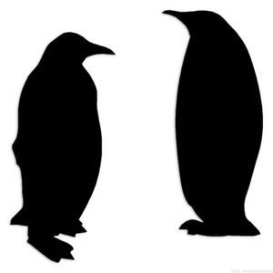 Penguins - Decal Sticker - Multiple Colors & Sizes - ebn6800 - Picture 1 of 20