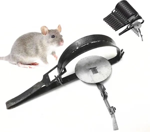 10Pcs Small Rat Trap Mouse Hunting Cage Traps Antique Catcher Traps Outdoor H... - Picture 1 of 12