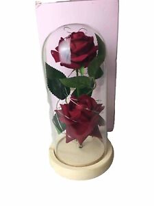 Forever Red Rose Flower in Glass Dome LED Light Up Anniversary Mothers Day