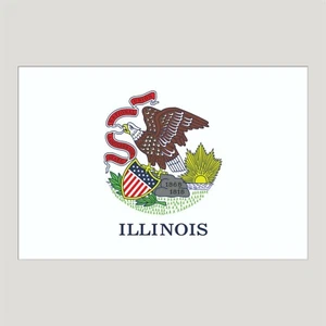 Pegatina bandera del estado de Illinois, calcomanía, pegatina de parachoques pegatina de vacaciones 3" x 5" - Imagen 1 de 2