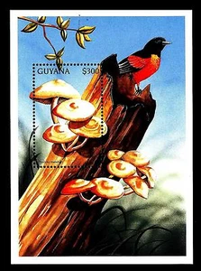 GUYANA - BF - 1997 - Funghi - Picture 1 of 1