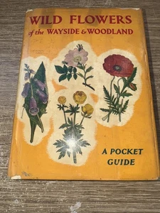 Wild flowers of the wayside and woodland 1962 Laminated dust jacket by Warne - Bild 1 von 9