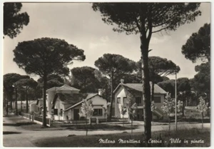 MILANO MARITTIMA - CERVIA - RAVENNA - VILLEN IM KIEFERNWALD - REISEN 1955 -61567- - Bild 1 von 1