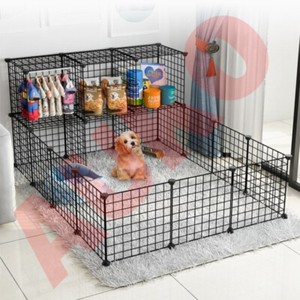 inside dog cage