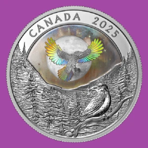 2025 Canada Moon Sky: Raven Holographic Proof Silver $20 Coin Mint Set UNC - Picture 1 of 4