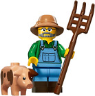 LEGO Farmer and Pig Series 15 Minifigure (71011) New Retired Collectible CMF