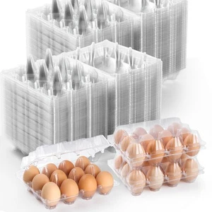 100 Stück Kunststoff Eierkartons Billig Großpackung 1 Dutzend Klar Leere Eierkartons für Ch... - Bild 1 von 7