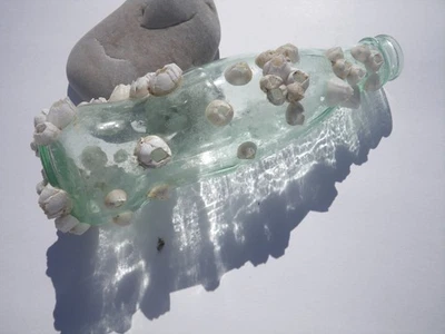 Sea Glass, Coke Bottle with Barnacles on it - Image 1 of 4