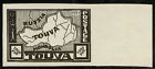 📅Tannu Tuva🐫? issue. Year ??. Unlisted marginal local stamp in black. EV $250+