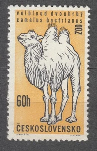 CZECHOSLOVAKIA 1962 **MNH SC#1113 60h stamps, Zoo Animals, Camel. - Picture 1 of 1