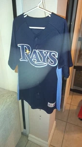 Tampa Bay Rays Blue Kids Youth Size Baseball Jersey Majestic Cool Base - Picture 1 of 8