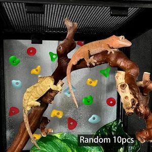 10x Climbing Wall Accessories for Reptile Enclosure Climbing Wall - Picture 1 of 7