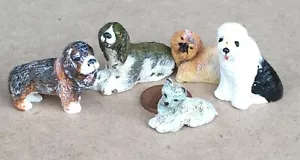 1:12 Scale Set Of 5 Resin Dogs Looking For A Home Tumdee Dolls House Miniature - Picture 1 of 2