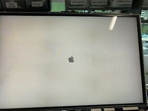 Apple iMac 24" MB325LL/A LCD Assembly LM240WU2(SL)(B2)